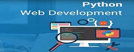 python for web development